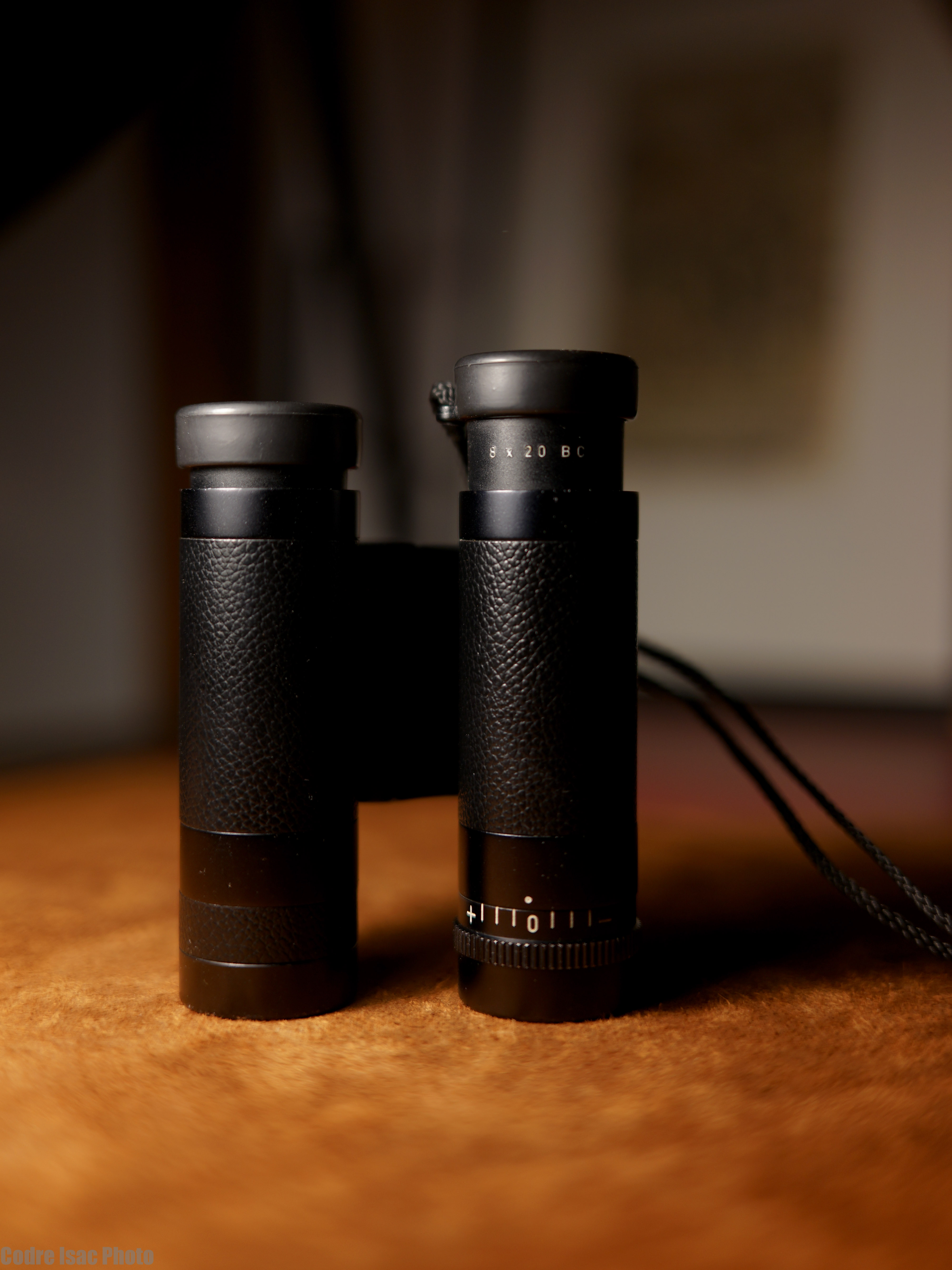 1 leica trinovid.jpg