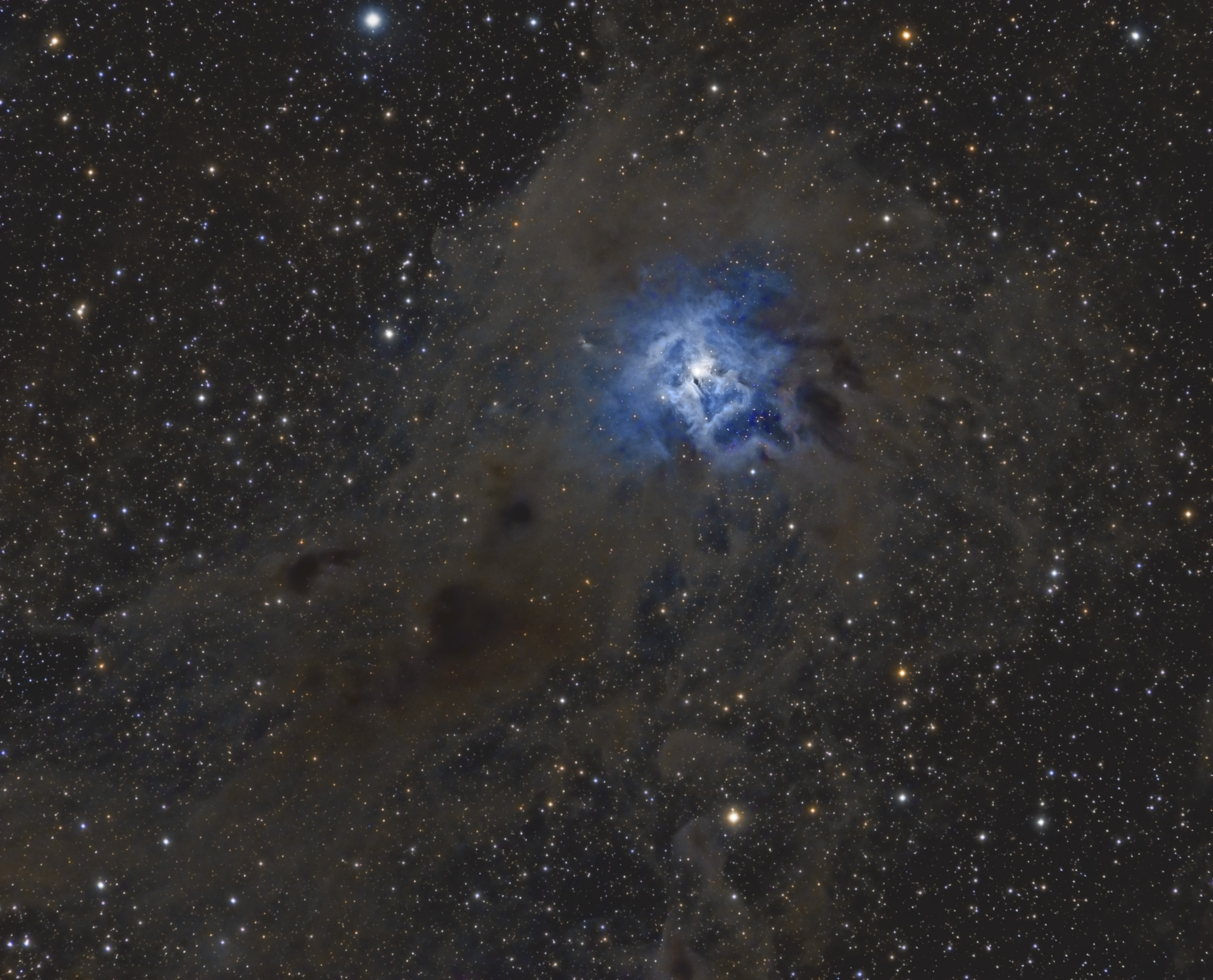 20160812__C4_Iris_Nebula__LRGB__480mm_f6.0_LIGHTx40@900s@1x1+60@300s@2x2.jpg