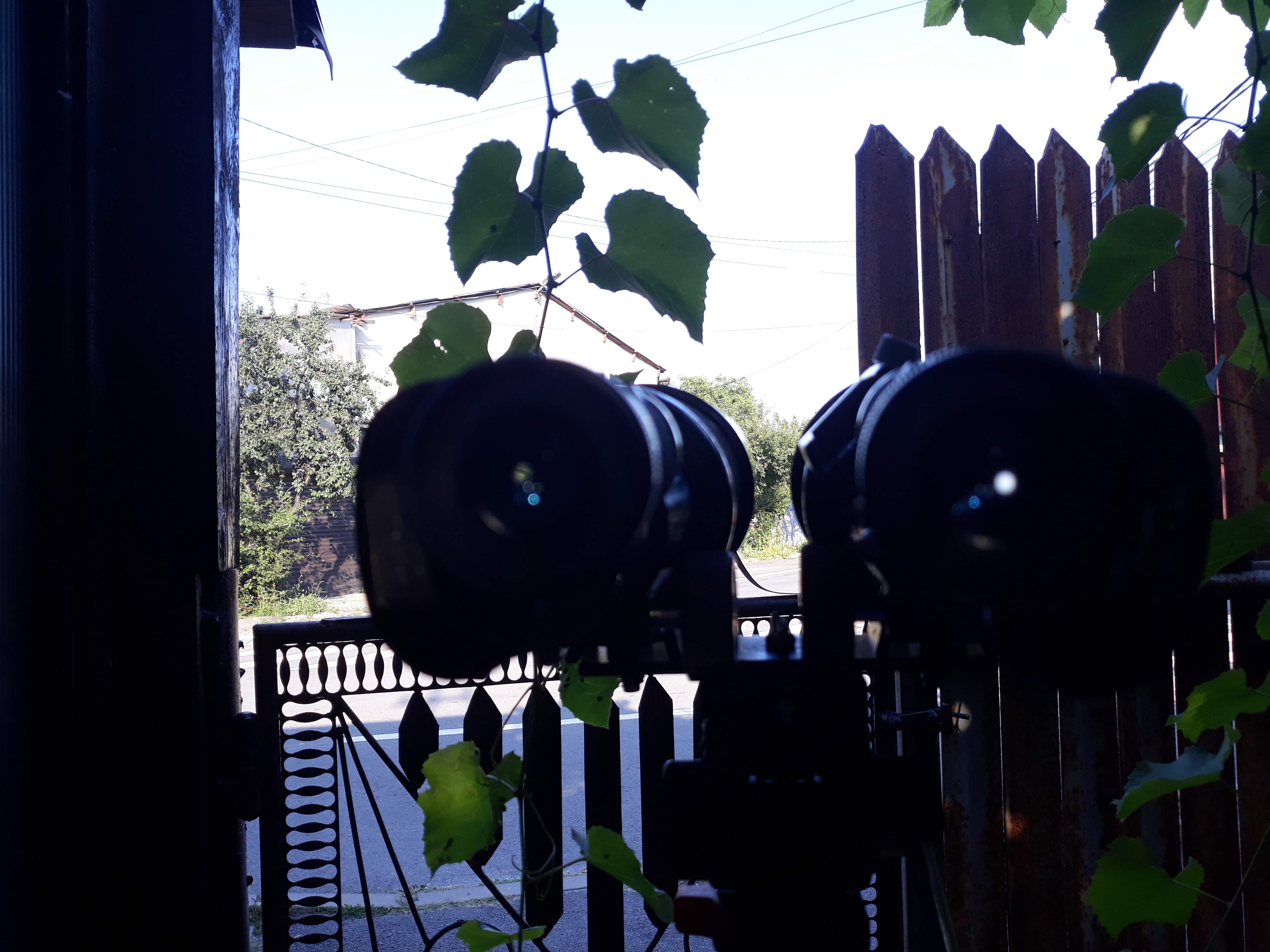 20190806_183646.jpg