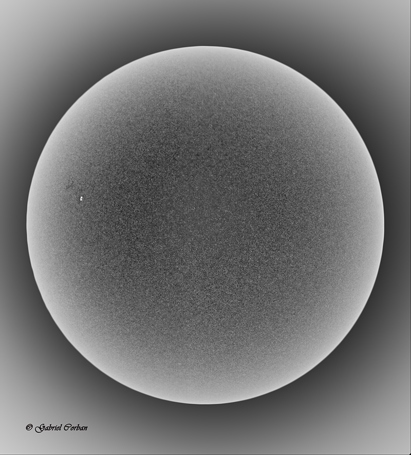 2-3 Neg layers composed Flat 800 JPG.jpg