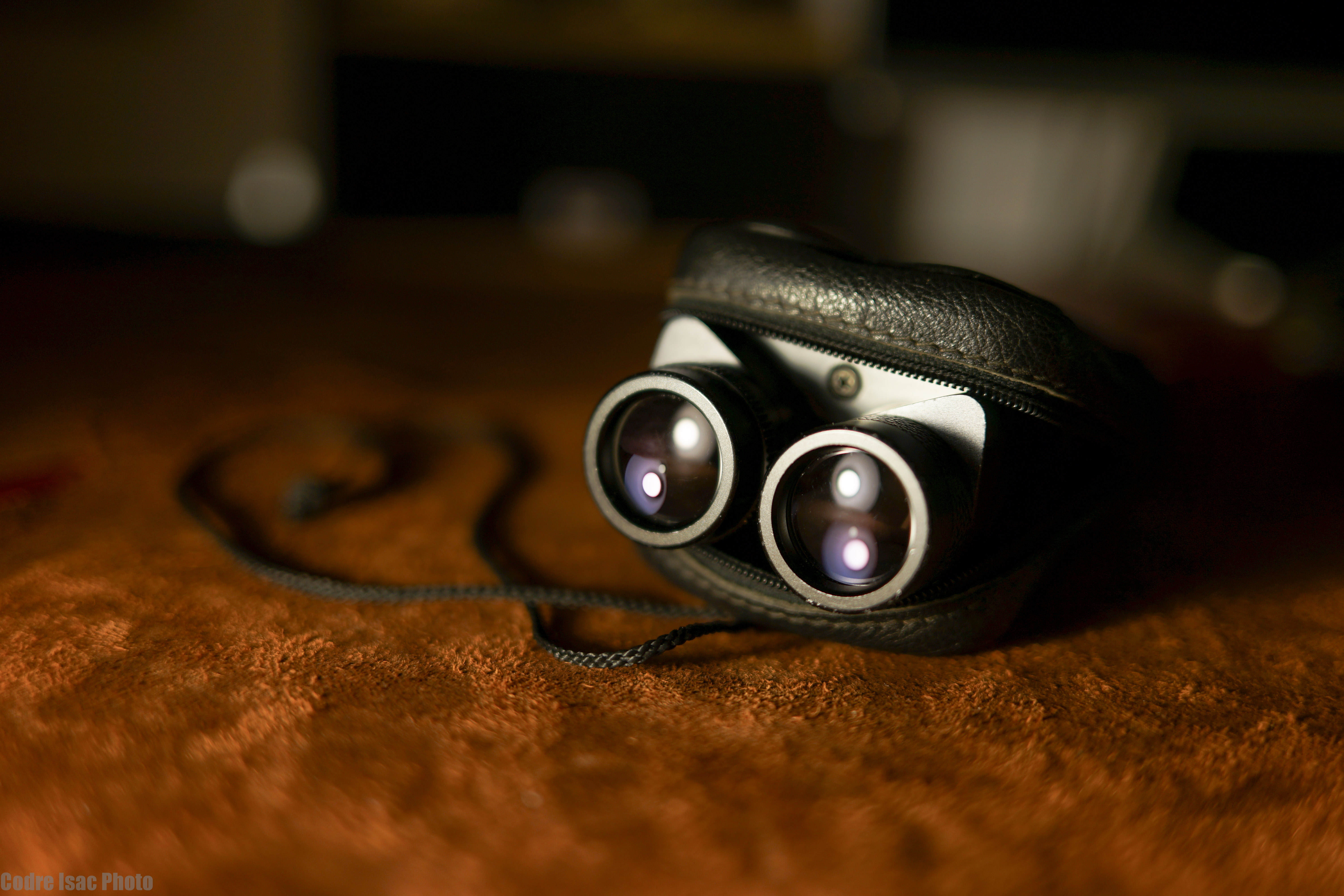 2 leica trinovid.jpg
