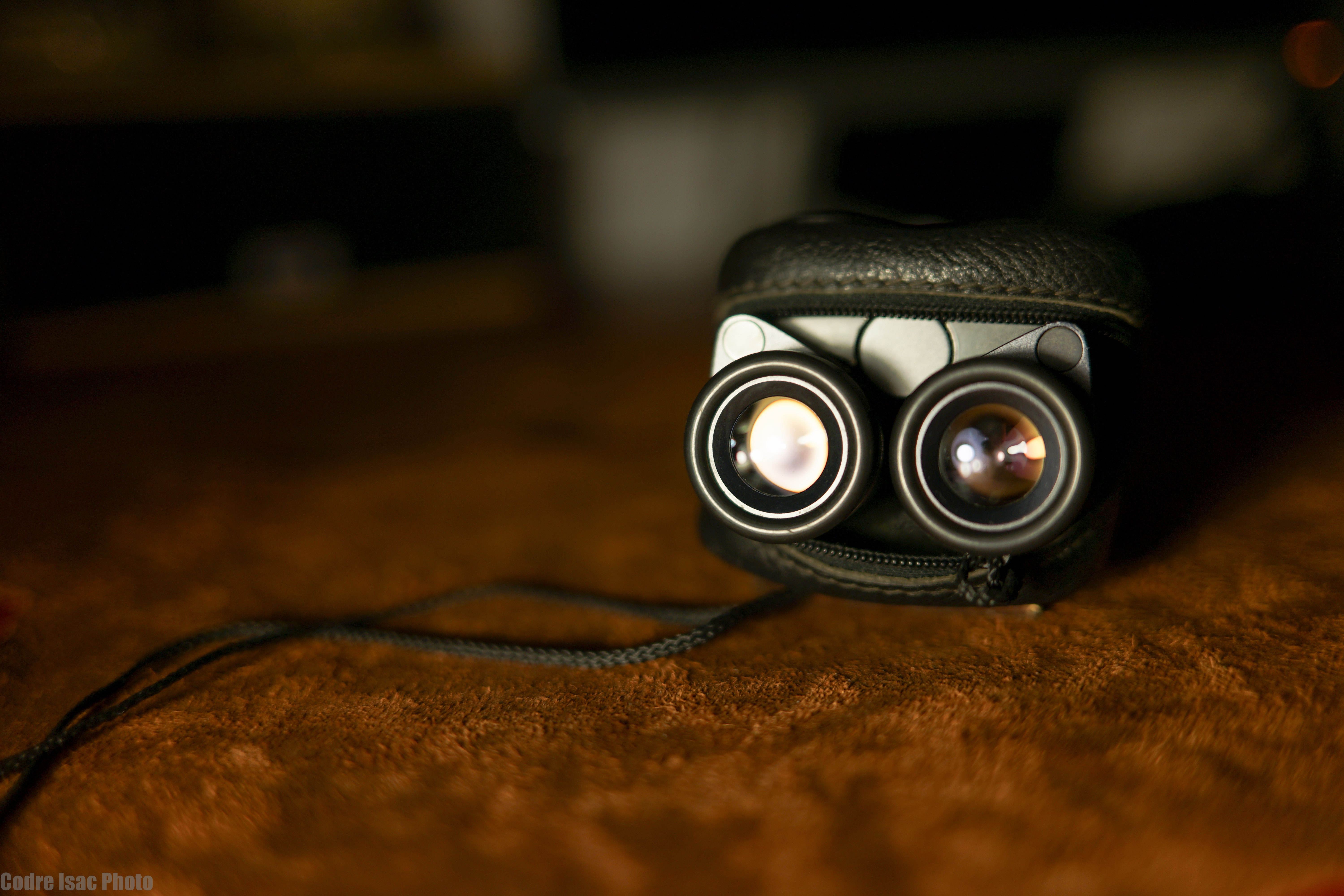 3 leica trinovid.jpg