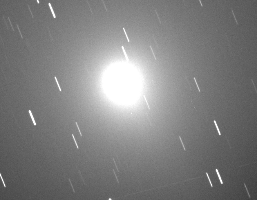 46P.jpg