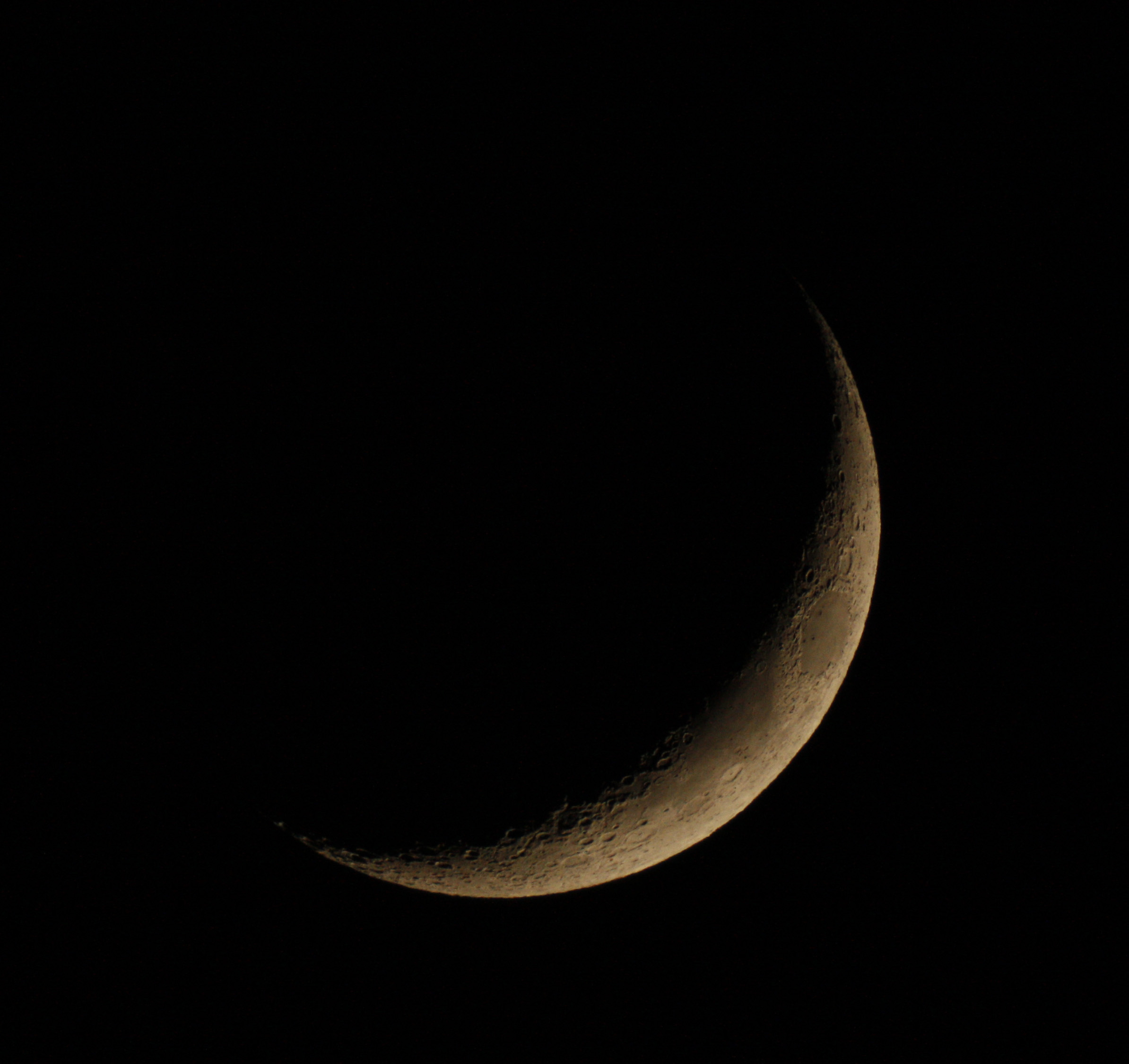 _MG_1592.JPG