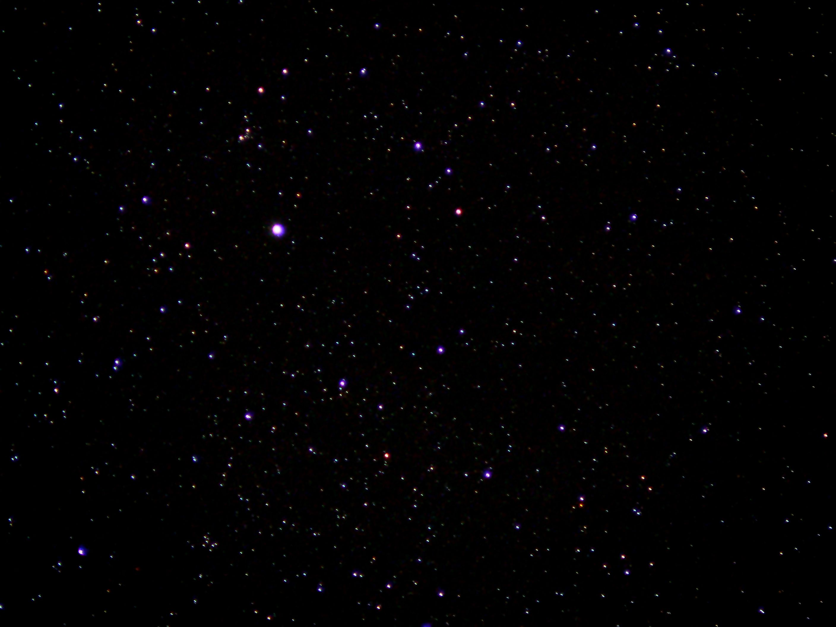 Copy of P1100302.JPG