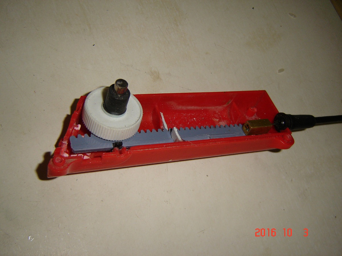 DSC01212durva.jpg