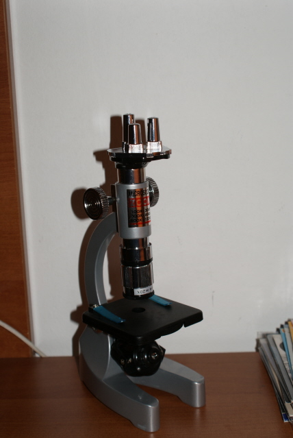 DSC04802.JPG