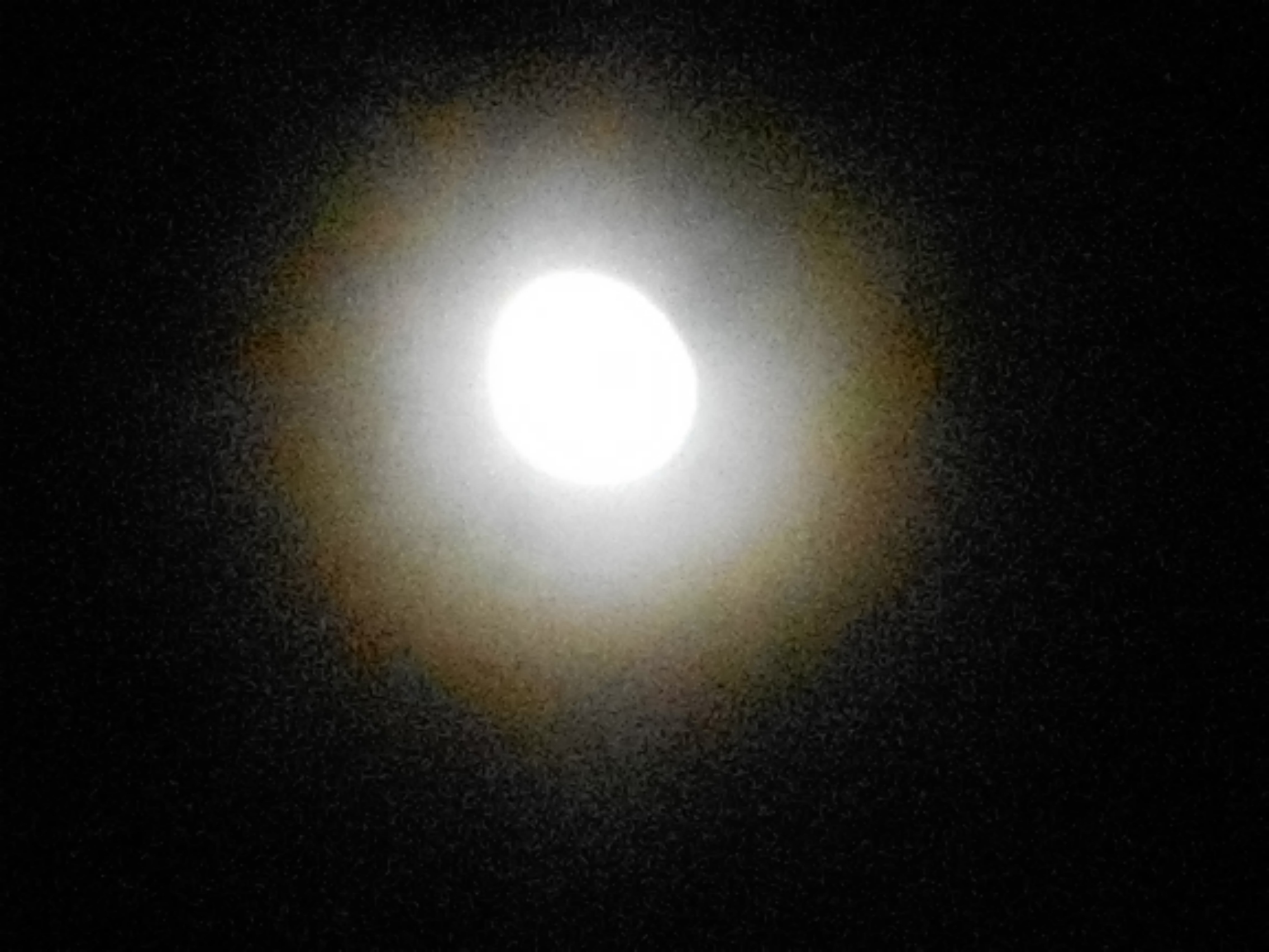 DSCN0018.JPG