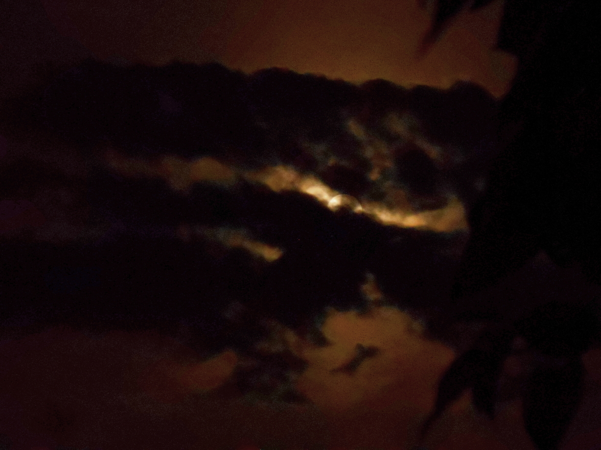 DSCN5630.JPG