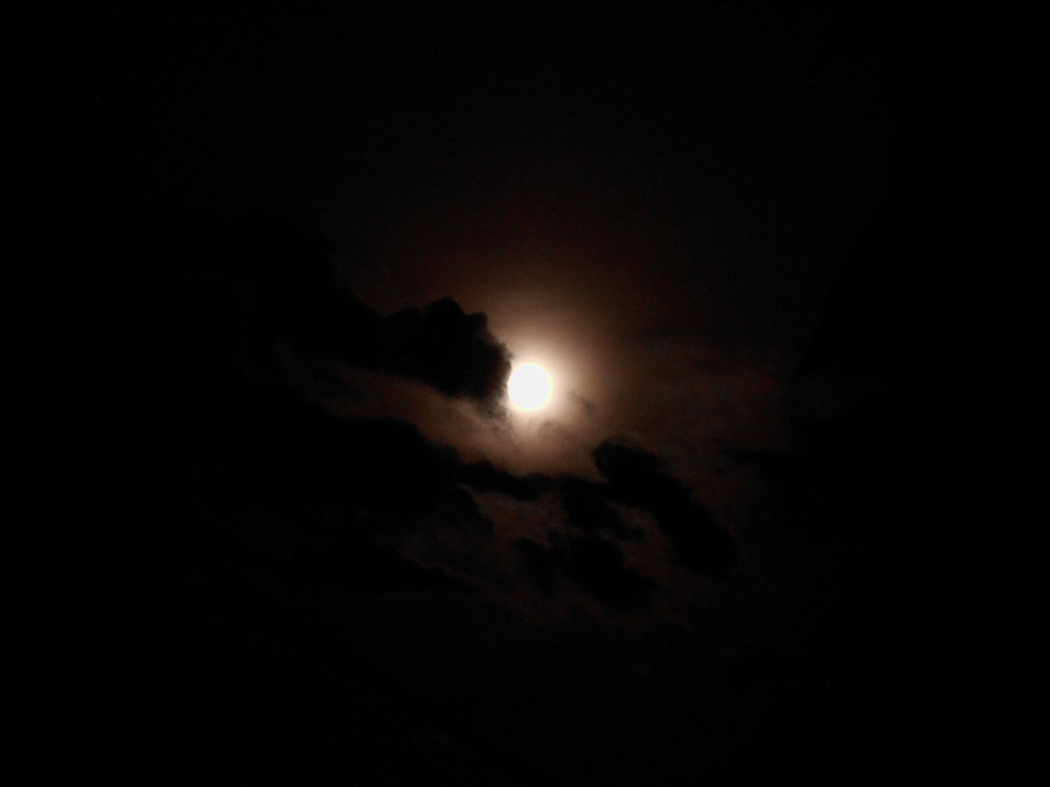 DSCN5631.JPG