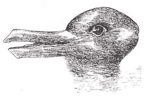 DuckRabbit_full.gif