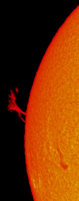 fc2_save_2012-03-20-153133-0000 crop2.jpg