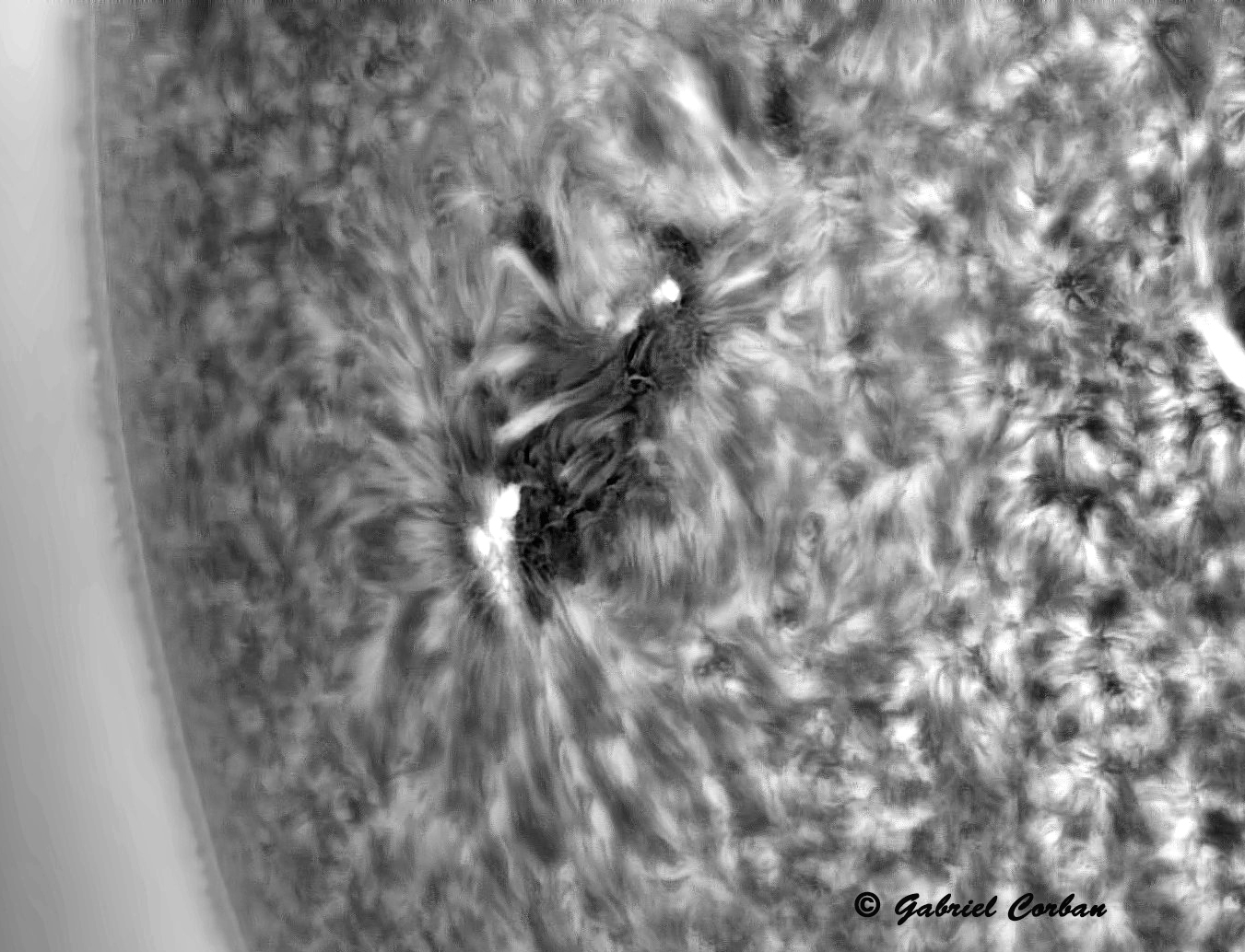 GradientXTerminator OK2 ALT Tx crop diferit jpg .jpg