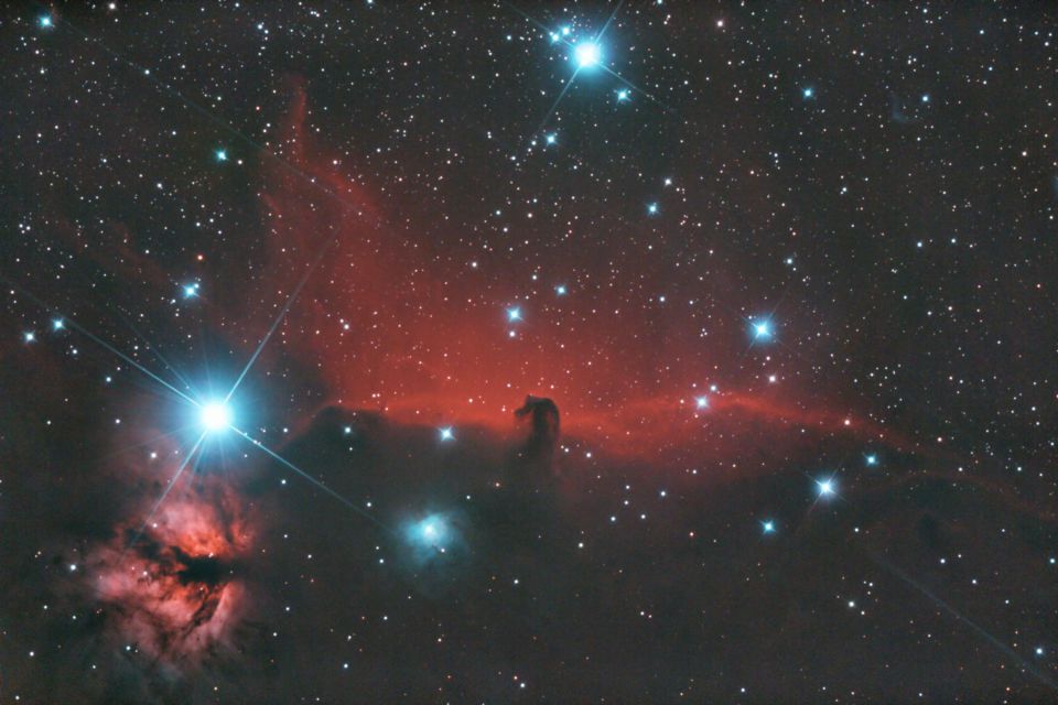 Horsehead_resize.jpg