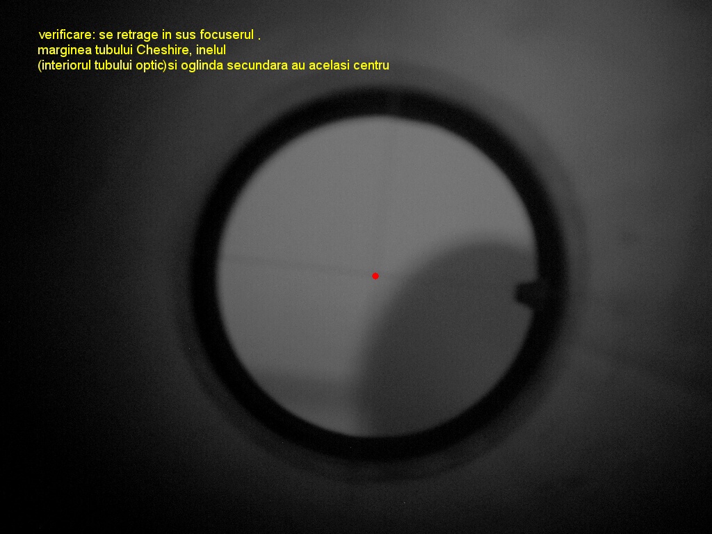 IMAGINEA 002.jpg