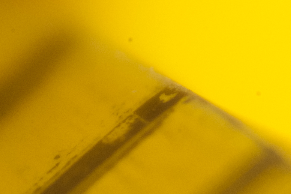 IMGP8344-3.jpg
