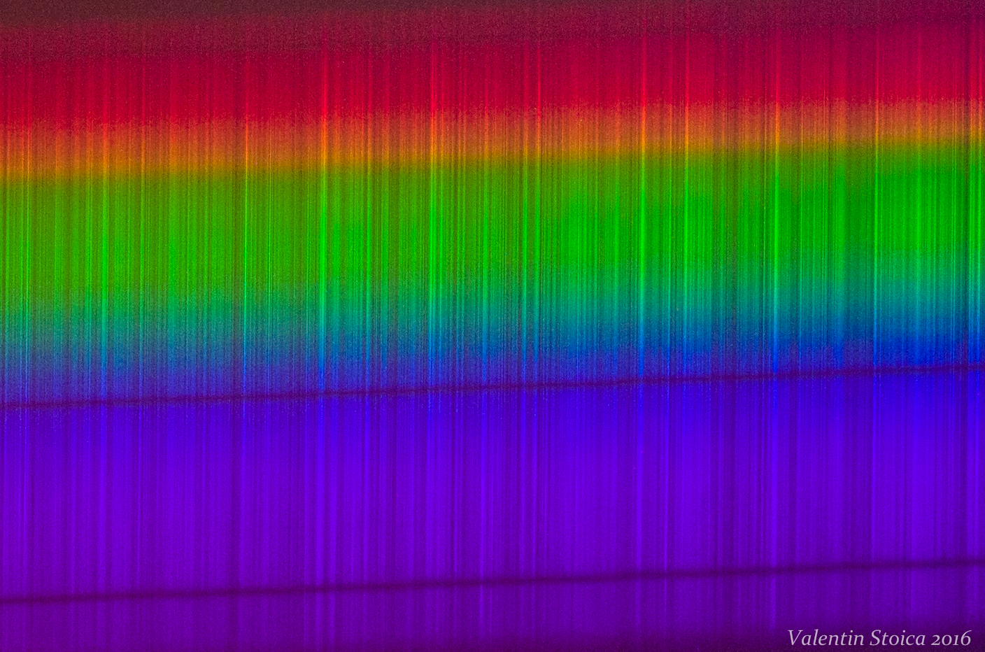 IMGP9639-2.jpg