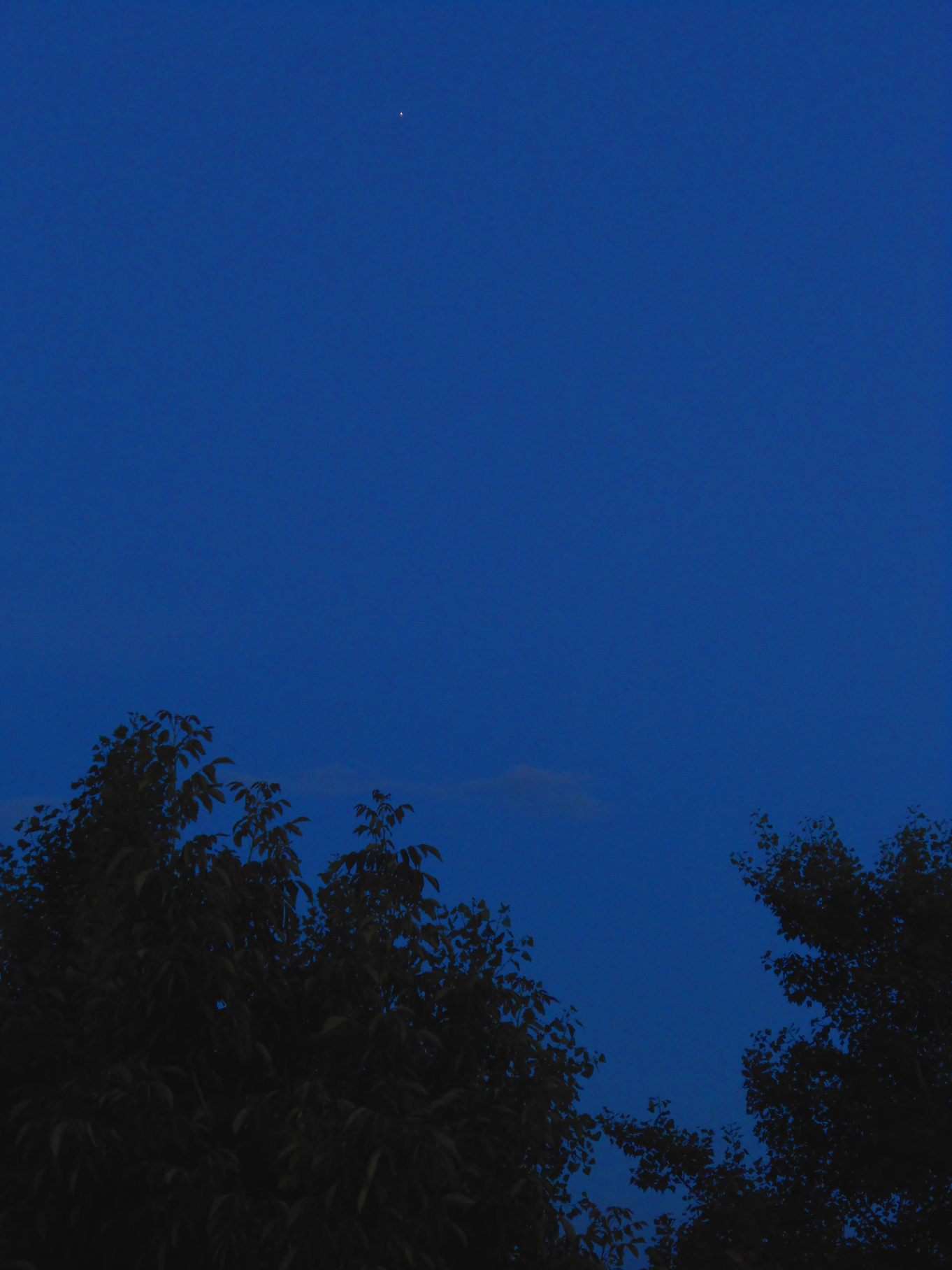 Jupiter.16.06.18.DSCN6450.JPG
