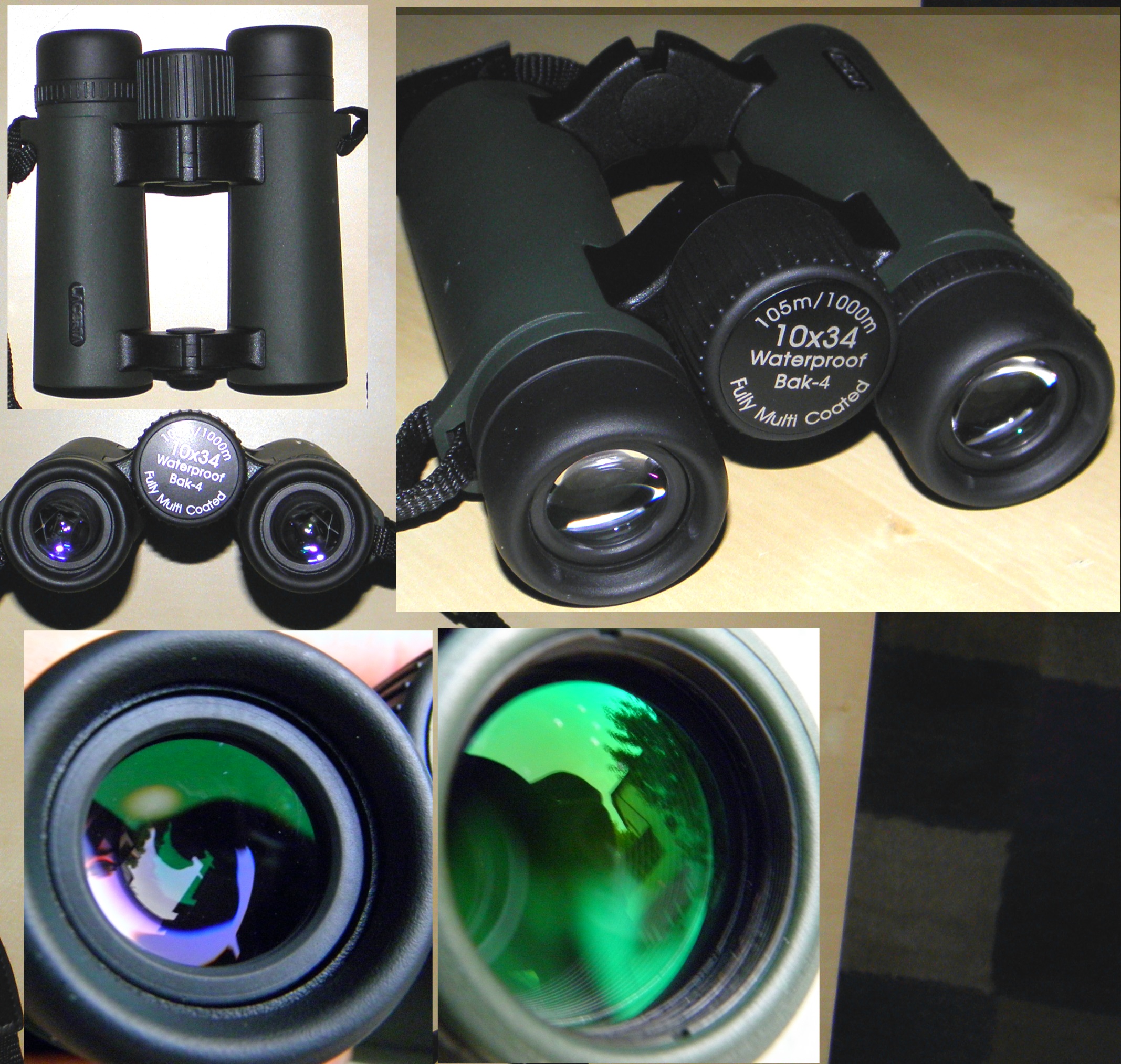 Lacerta10x34mic.jpg