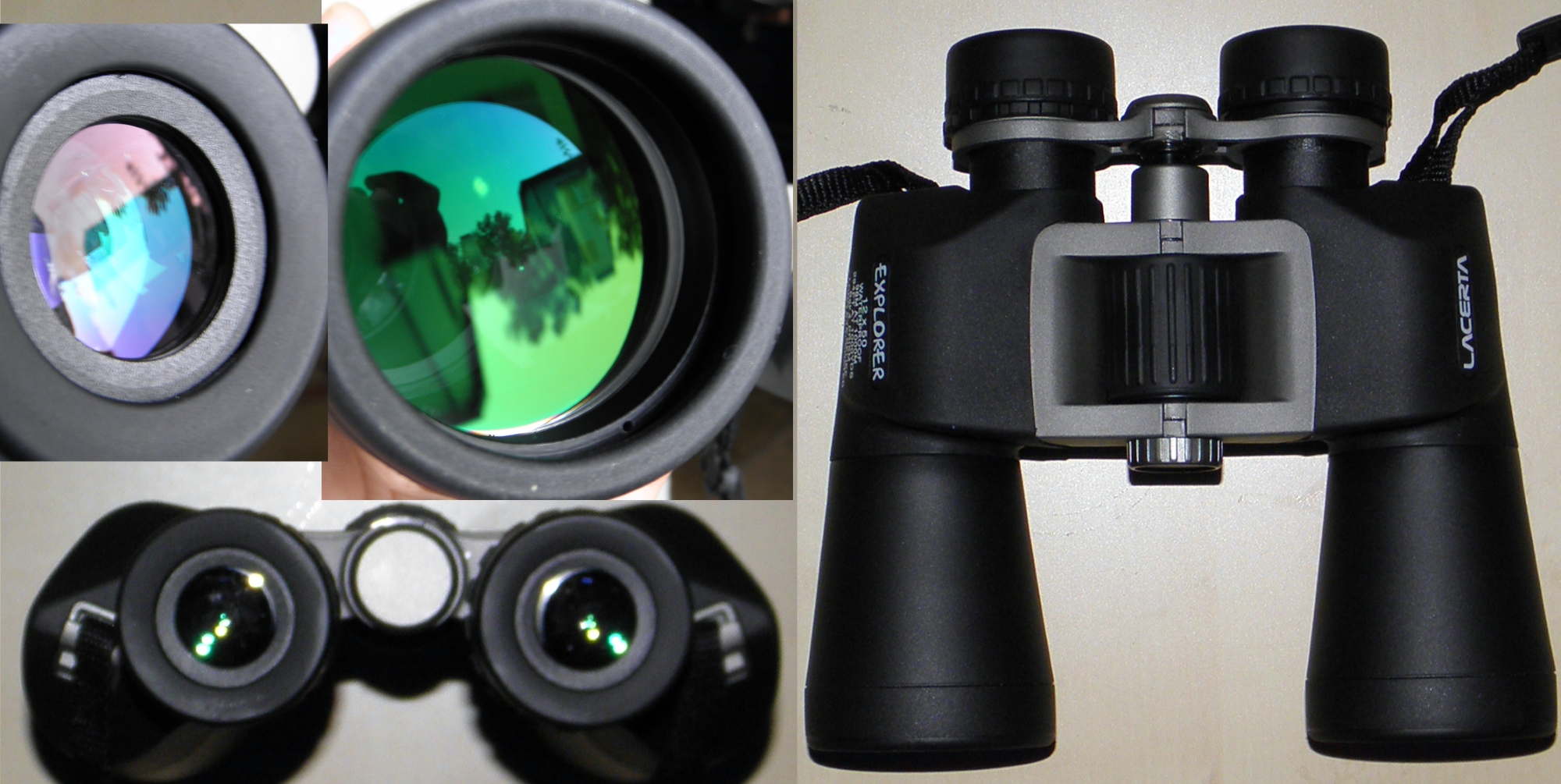 lacerta12x50mic.jpg