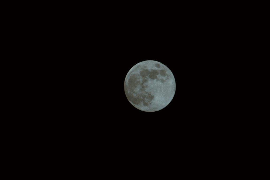 Luna.JPG