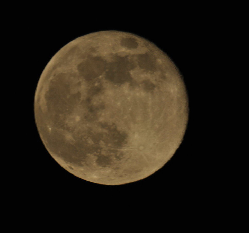 luna natur.jpg