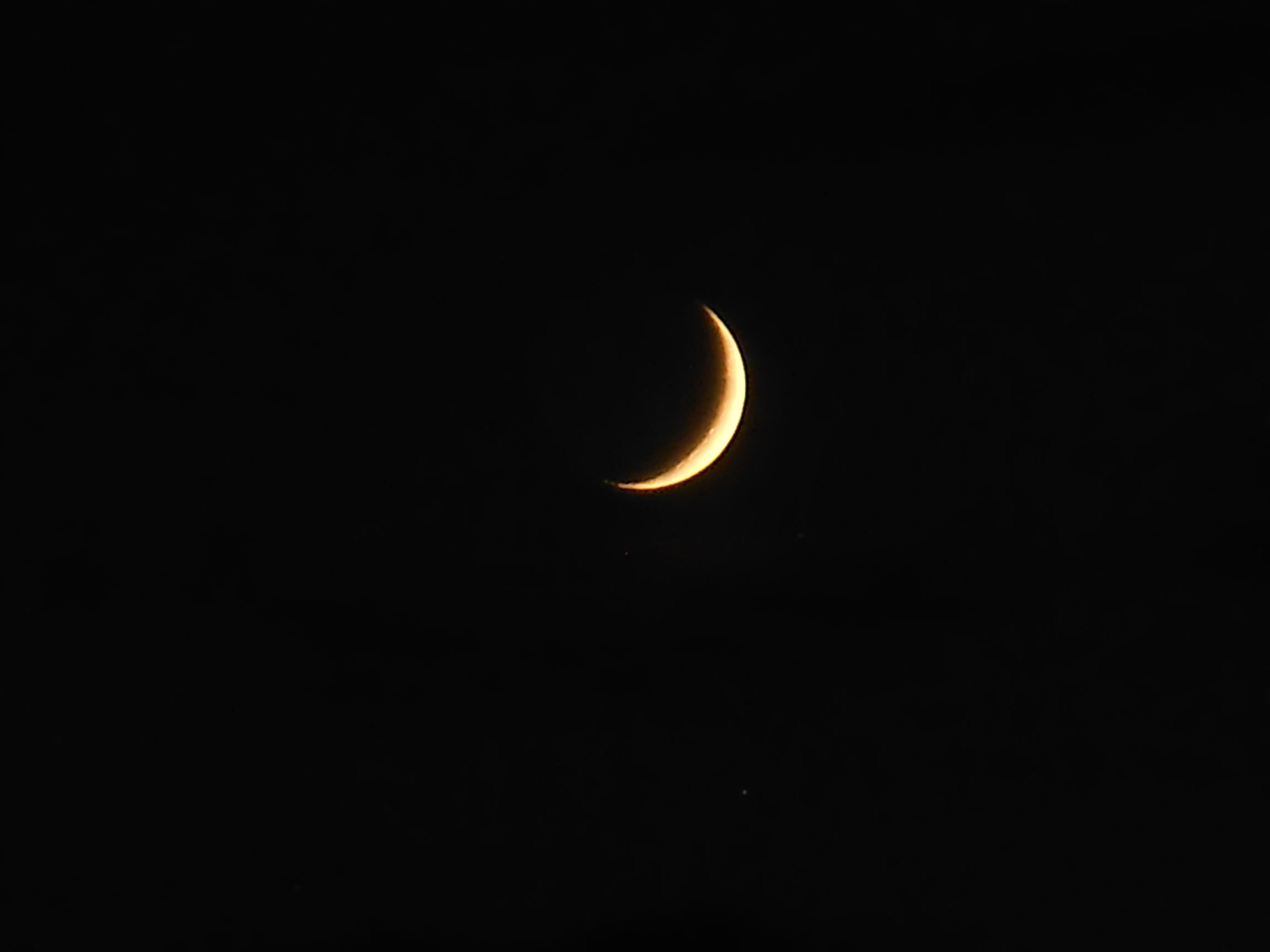 Luna+Regulus.15.07.18.DSCN6634.JPG
