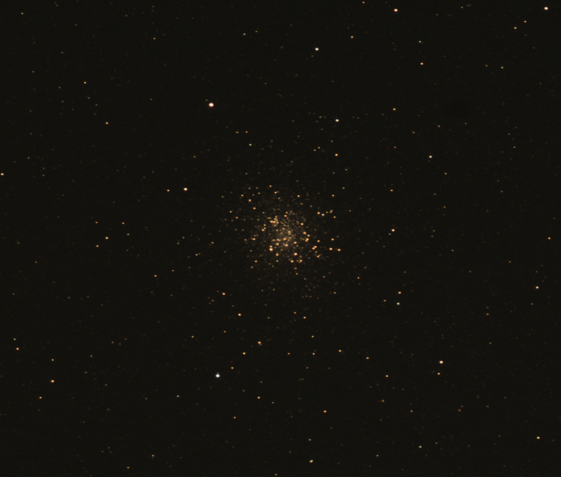 m22 13x31s f900 ps.jpg