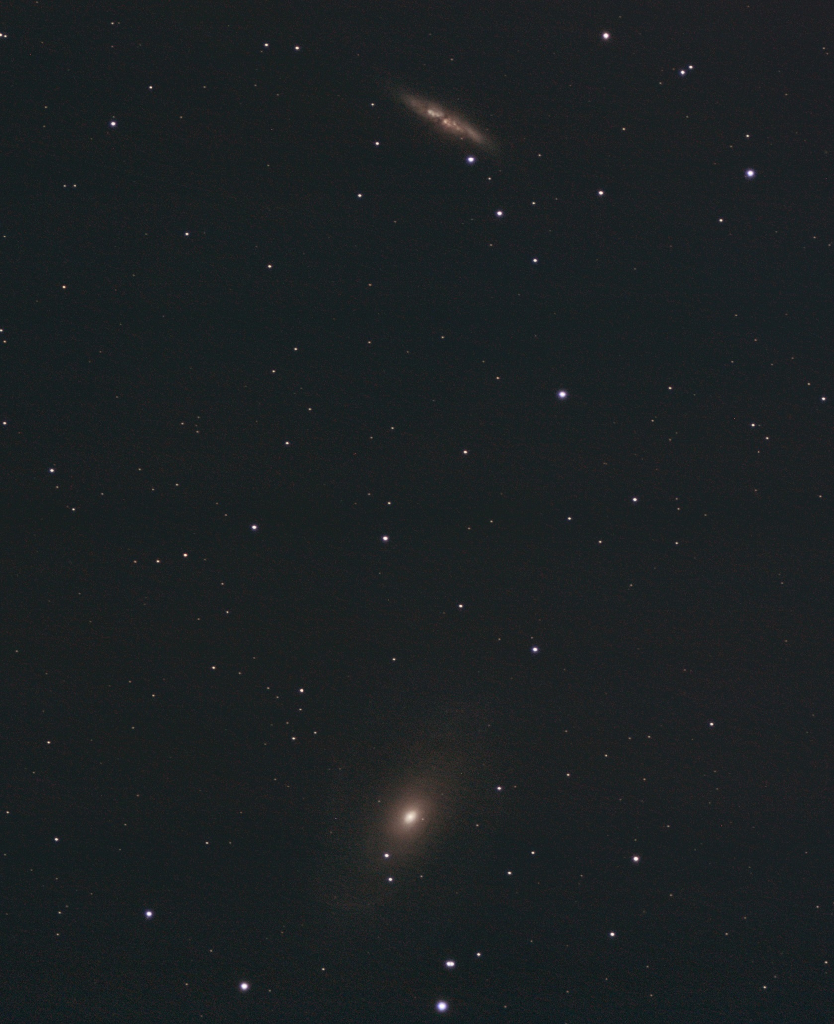 m81-82 55x31s f900 ps2.jpg