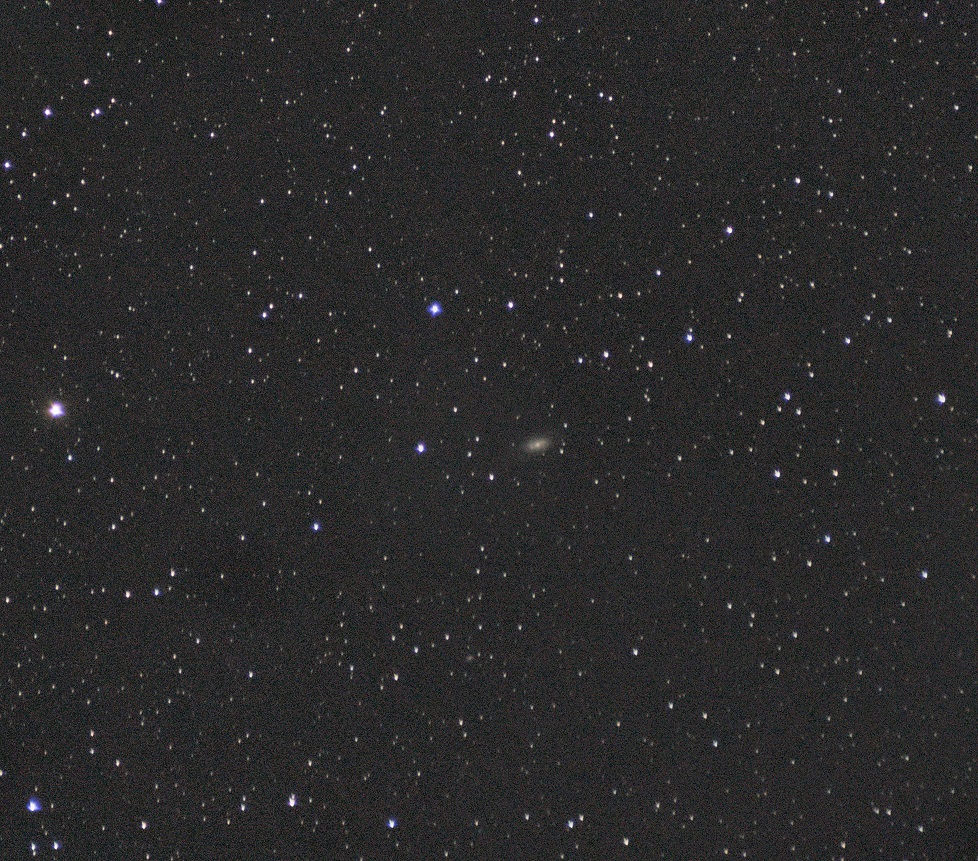 ngc 2903 20x56s b.jpg