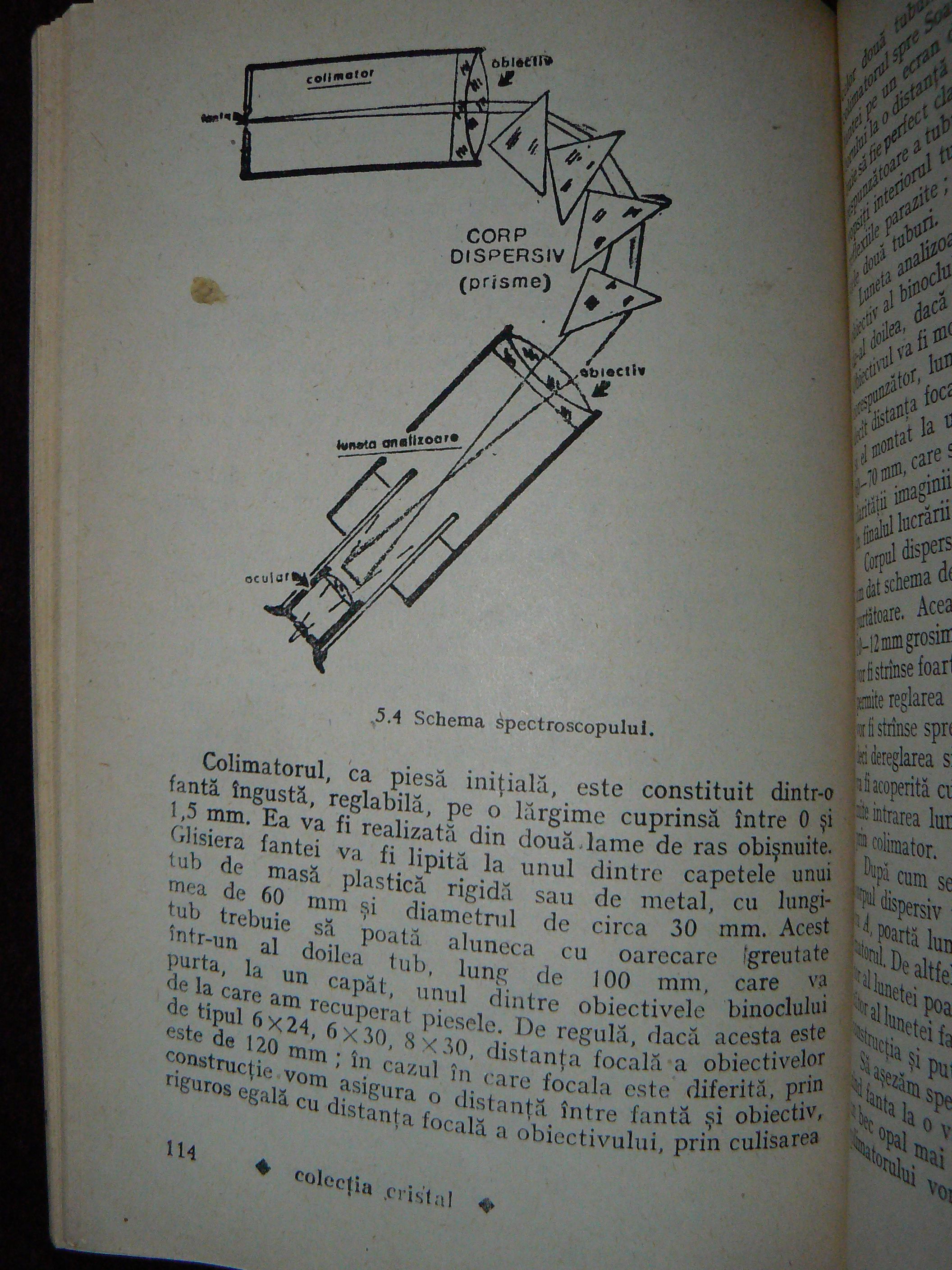 P1100985.JPG