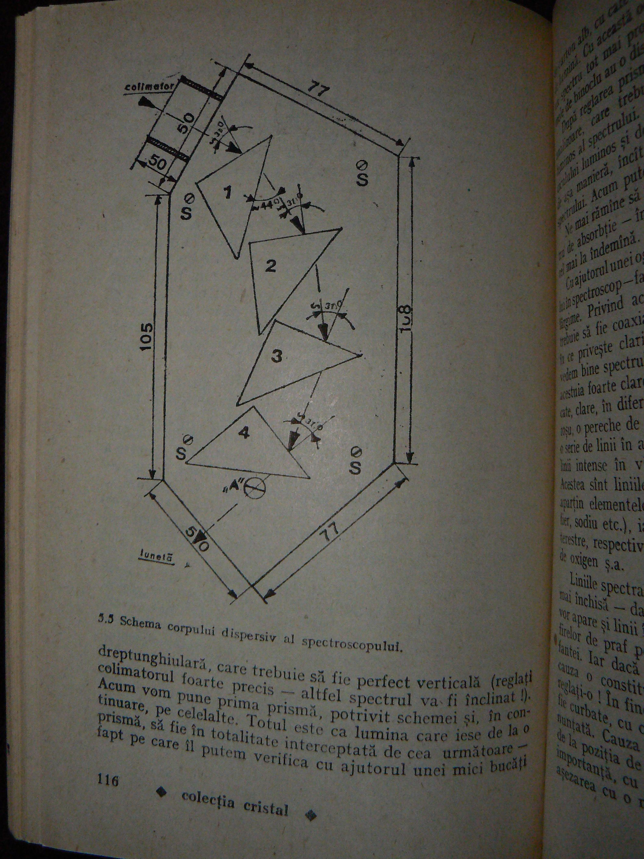 P1100987.JPG