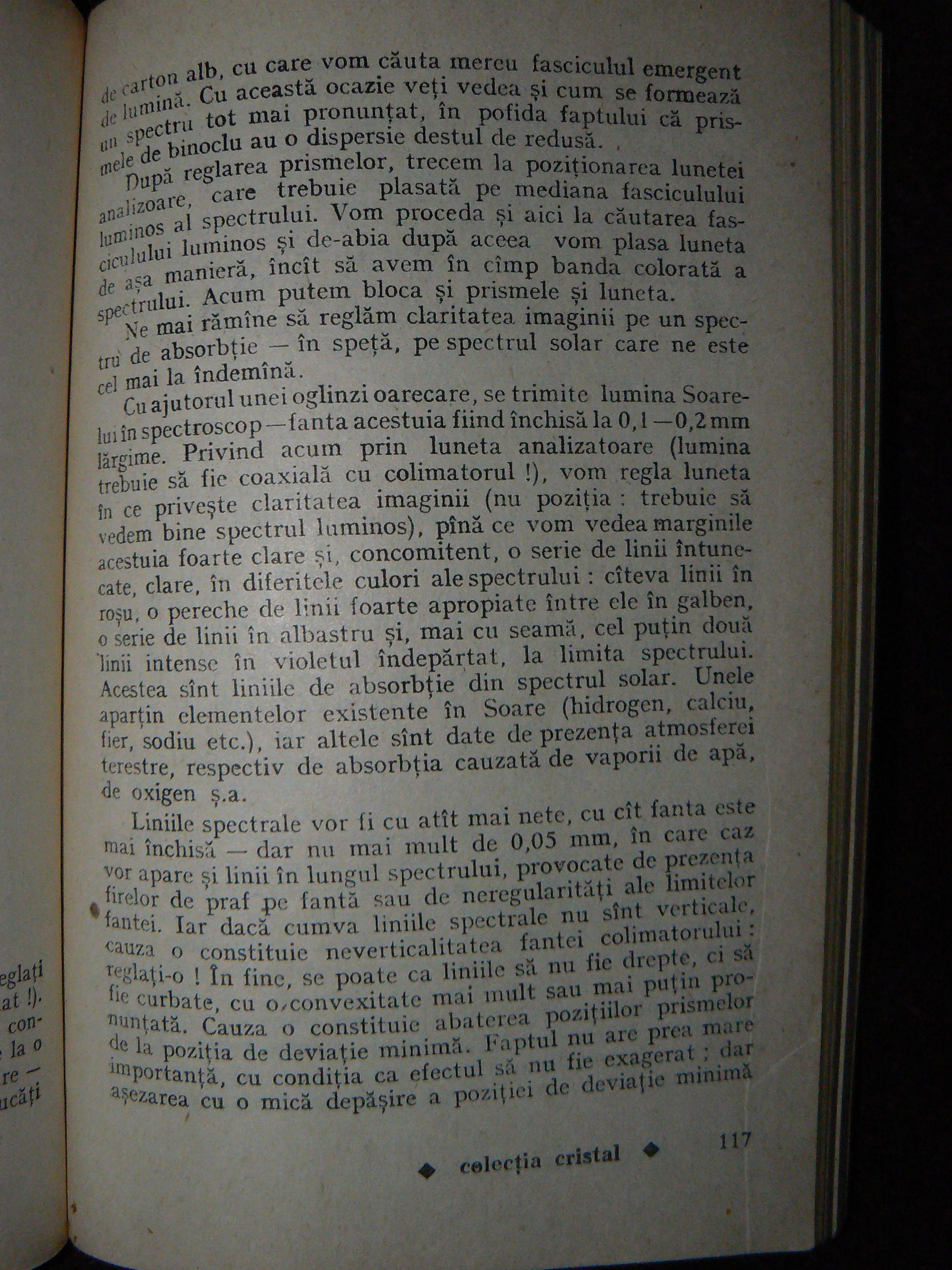 P1100988.JPG
