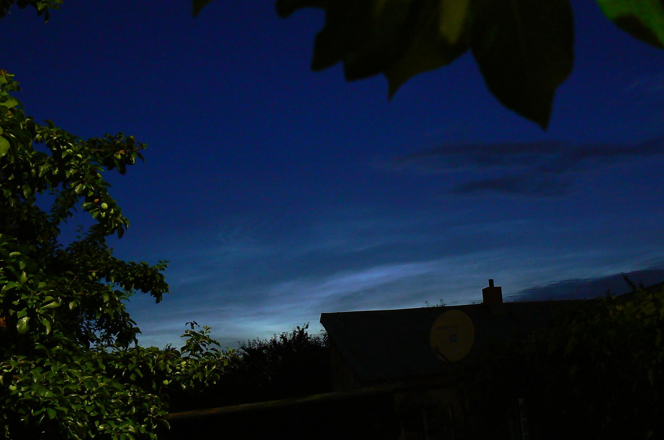 P1190697-crop.JPG