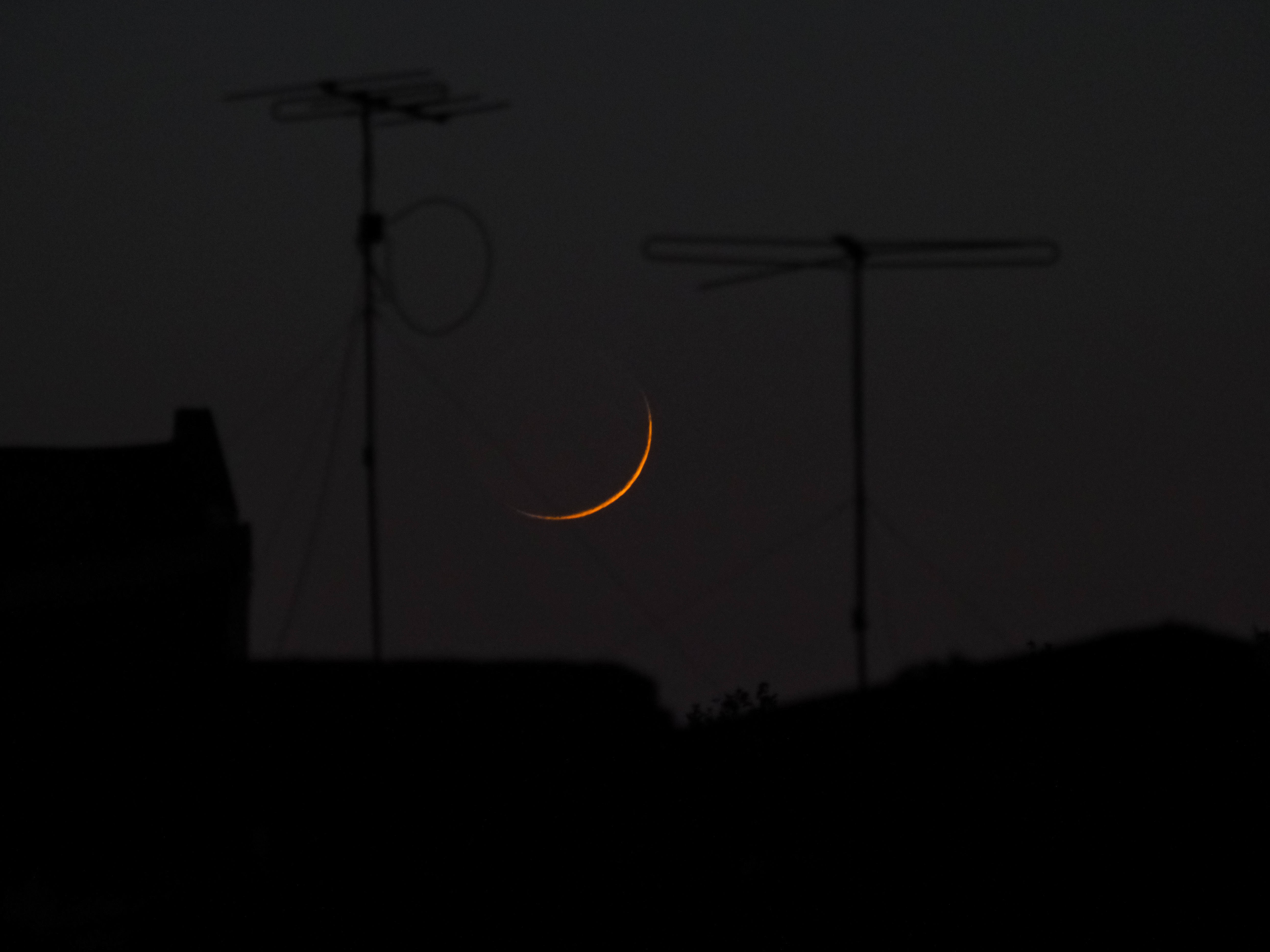 P4240743.jpg