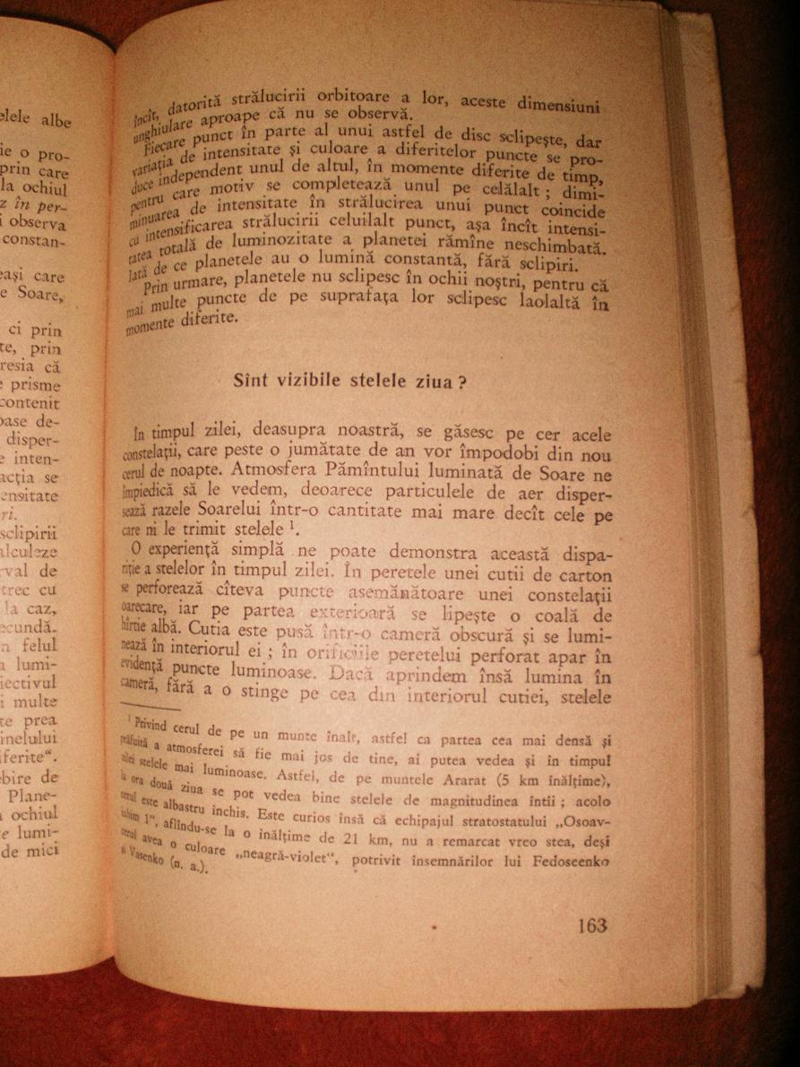 P6130040.JPG
