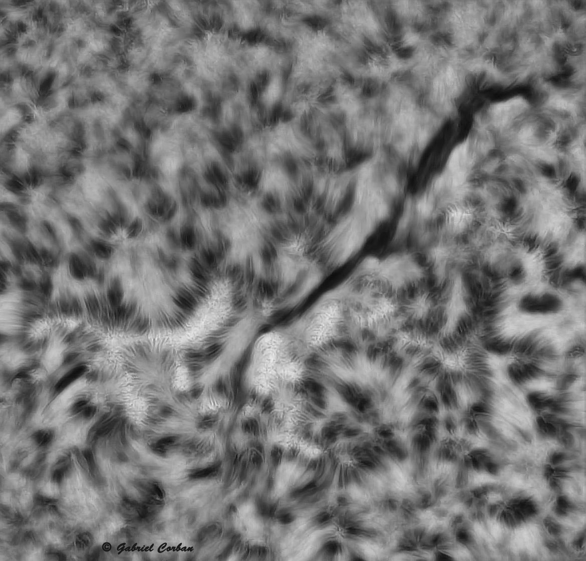 PS2 crop Alt Tx Mars_142510_lapl4_ap3925.jpg