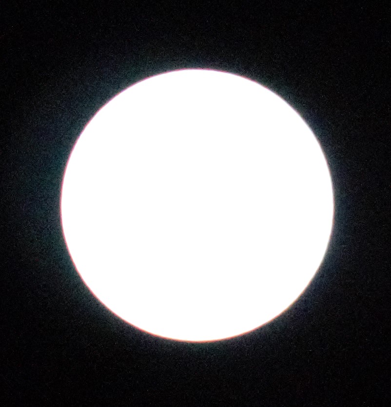 SUN.jpg