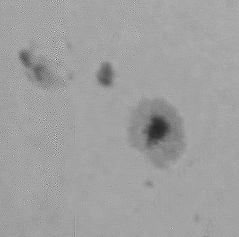 sunspot3.png
