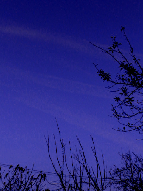 Twilight.contrails.18.11.16.DSCN3985.JPG