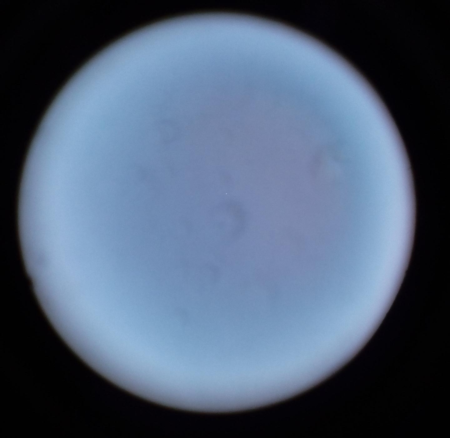 vega-fara filtru.jpg