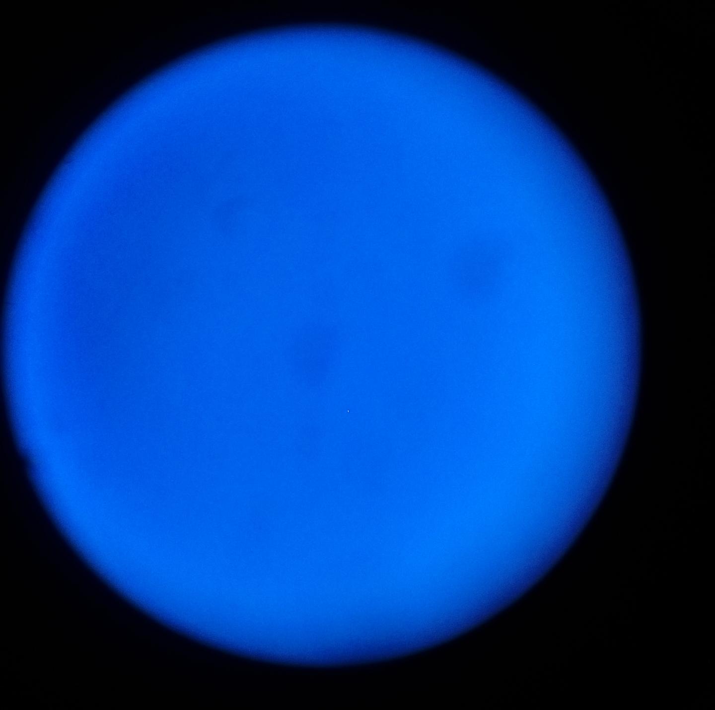 vega-filtru albastru 80a.jpg