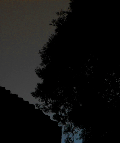 Venus.18.11.16.DSN4006-crop.PNG