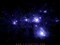 starry-large.jpg