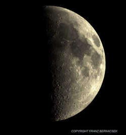 luna.jpg