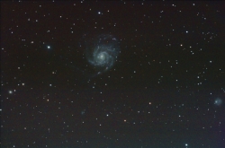 M101aklein.jpg