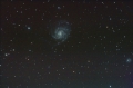 M101aklein.jpg
