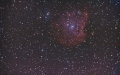 ngc2175kleina.jpg