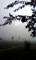 IMG_20151023_094405.jpg