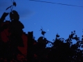 Jupiter-Venus_Conjunction_26_06_15.JPG